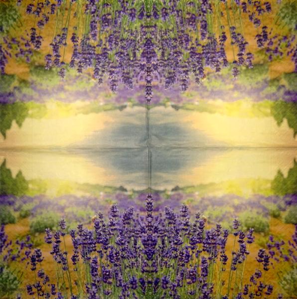 LAV-121 Lavender - 3-ply - Ternberger